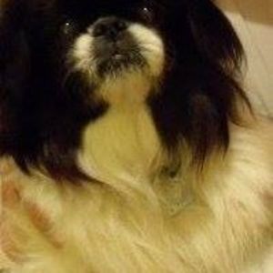 Meet your Posher, Larry